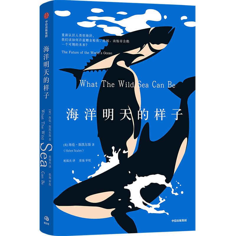 海洋明天的样子